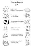 Vorschau - Arbeitsblätter - Read & Colour: Pets | Englisch Klasse 3/4 - Seite 2