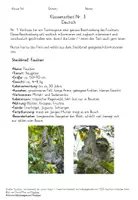 Vorschau - Klassenarbeiten - Klassenarbeit Tierbeschreibung Klasse 5 Faultier mit EWH - Seite 1