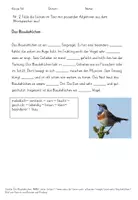 Vorschau - Klassenarbeiten - Klassenarbeit Tierbeschreibung Klasse 5 Faultier mit EWH - Seite 2