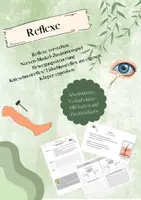 Vorschau - Stundenentwürfe - Reflexe - Lidschluss- und Kniesehnenreflex erproben (Verlaufsskizze und AB´s) - Deckblatt