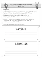 Vorschau - Arbeitsblätter - Meerestiere: Plakate & Referate (Forschen) - Sachunterricht - Kl. 3/4 - Seite 1