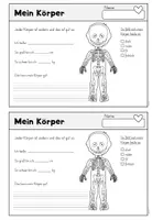 Vorschau - Arbeitsblätter - Unser Körper - Körperteile | Sachunterricht Volksschule - Seite 3