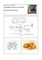 Vorschau - Arbeitsblätter - Energiegewinnung ohne Sauerstoff: Die alkoholische Gärung - Deckblatt
