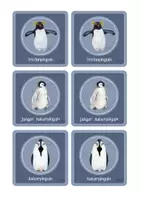 Vorschau - Spiele - Pinguine Spiele Set - Paarsuche und Zahlenspiel zum zuordnen - Seite 2