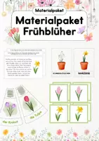 Vorschau - Arbeitsblätter - Materialpaket Frühblüher | Materialsammlung Frühling | Frühblüher - Deckblatt