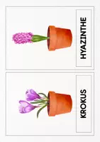 Vorschau - Arbeitsblätter - Materialpaket Frühblüher | Materialsammlung Frühling | Frühblüher - Seite 2