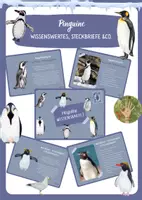 Vorschau - Stationenlernen - Wissenskartei Pinguine - Steckbriefe und Infotexte zu verschiedenen 10 Arten - Deckblatt