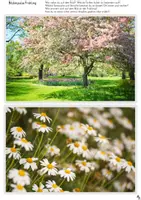 Vorschau - Arbeitsblätter - Frühling Bildimpulse - Placemat für kooperatives Lernen - Seite 3