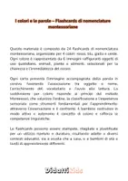 anteprima - Materiale di supporto/inclusione - Nomenclature Montessoriane - Colori e Colori - Pagina 1