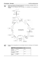 Vorschau - Arbeitsblätter - Citratzyklus - Arbeitsblatt - Seite 3