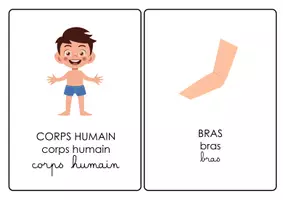 Aperçu - Jeux - Flashcards - Parties du Corps Humain - Page de couverture