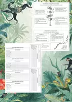 anteprima - Esercizi - TESTO D'AVVENTURA + TESTO DESCRITTIVO +il DIARIO e la LETTERSA - CL. 4 -5° - Pagina 3