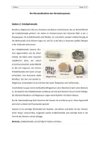 Vorschau - Stationenlernen - Unterrichtsstunde: Die Elementfamilien des Periodensystems (Stationsarbeit) - Seite 3