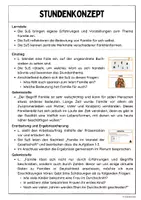 Vorschau - Stundenentwürfe - Familie und Gesellschaft (Materialpaket) - Seite 2