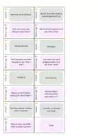 Vorschau - Stundenentwürfe - DS 2 - Genetik - Chromosomen - Seite 3
