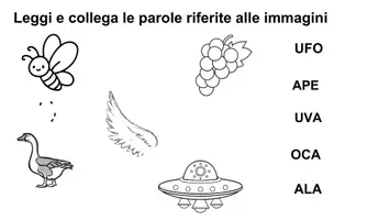 anteprima - Materiale di supporto/inclusione - FONOLOGIA 1 livello - Pagina 2
