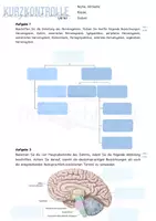 Vorschau - Arbeitsblätter - Kurzkontrolle mit Lösungen: Nervensystem und Encephalon - Deckblatt