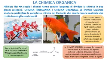 anteprima - Esercizi - LA CHIMICA FACILE - Lezione 12 - Gli Idrocarburi - Pagina 3