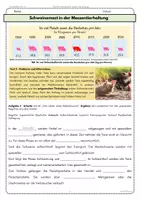 Vorschau - Arbeitsblätter - XXL Materialpaket Erdkunde Geographie Unterlagen Geographie, Stadt, Naturkatastrophen & Globalisierung - Seite 3