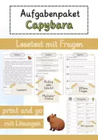 Vorschau - Arbeitsblätter - Capybara Lesetext einfach erklärt mit Aufgaben + Lösungen und Wortspeicher Leseverstehen - Deckblatt