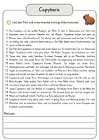 Vorschau - Arbeitsblätter - Capybara Lesetext einfach erklärt mit Aufgaben + Lösungen und Wortspeicher Leseverstehen - Seite 1
