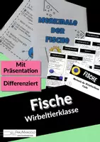 Vorschau - Arbeitsblätter - Merkmale der Wirbeltiere BUNDLE - Seite 1