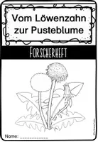 Vorschau - Arbeitsblätter - Das Paket - Vom Löwenzahn zur Pusteblume - Seite 3