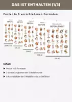 Vorschau - Poster - Gefühlsposter Lernposter Gefühle | Gefühle und Emotionen erkennen, benennen & verstehen - 5 Waldfreunde - Seite 1