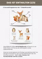 Vorschau - Poster - Gefühlsposter Lernposter Gefühle | Gefühle und Emotionen erkennen, benennen & verstehen - 5 Waldfreunde - Seite 2