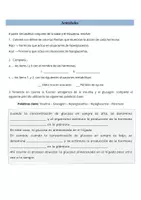 Vista previa - Unidades / Secuencias / Situaciones de Aprendizaje - Control de la glucemia – Estudio de caso sobre regulación endocrina y homeostasis - página 3