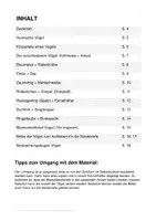 Vorschau - Arbeitsblätter - Heimische Vögel - Seite 2