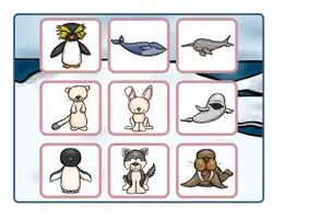 Voorbeeld - gezelschapsspel: bingo pooldieren - Voorblad
