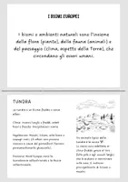 anteprima - Materiale di supporto/inclusione - BIOMI (3) - Pagina di copertina