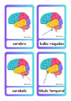 Vista previa - Juegos / Gamificación - Gamificación El Cerebro 🧠 - página 3