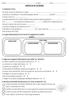 anteprima - Esercizi - Verifica di scienze sulle piante (classe quarta) - Pagina di copertina