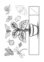 Vorschau - Mal- und Bastelvorlagen - Dreidimensionale Papierblumen zum Aufstellen - Seite 2