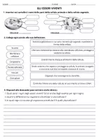 anteprima - Esercizi - Verifica di scienze sulla cellula e sui 5 regni - Pagina di copertina
