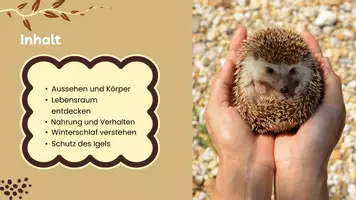 Vorschau - Präsentationen/Tafelbilder - Der Igel Präsentation Grundschule - Seite 1