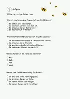 Vorschau - Text - Lesen und Verstehen- Frühblüher - Seite 3