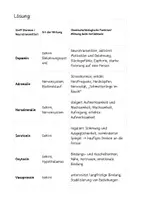 Vorschau - Arbeitsblätter - Biologische und chemische Prozesse des Verliebtseins - Seite 3