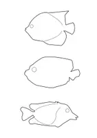 Vorschau - Mal- und Bastelvorlagen - Vorlagen Nr.8: Exotische Fische - Seite 3