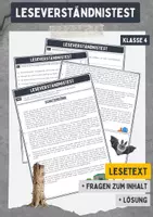 Vorschau - Unterrichtsreihen - Leseverständnistest (Kl. 4) - Schattenkönig - Deckblatt