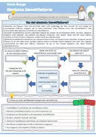 Vorschau - Arbeitsblätter - Abiotische Umweltfaktoren (Bedeutung / Angepasstheit / Temperatur /Bergmannsche & Allensche Regel / Licht / Sonnenblatt & Schattenblatt / Ökologie / Biologie) - Seite 1