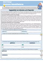 Vorschau - Arbeitsblätter - Abiotische Umweltfaktoren (Bedeutung / Angepasstheit / Temperatur /Bergmannsche & Allensche Regel / Licht / Sonnenblatt & Schattenblatt / Ökologie / Biologie) - Seite 3