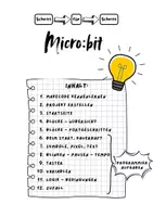 Vorschau - Unterrichtsreihen - Micro:bit - Merkheft - Arbeitsheft - Programmieren - Mikrocontroller - Seite 2