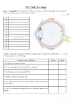 Vorschau - Test - Test Sinnesorgan Auge - Deckblatt
