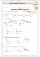 Vorschau - Stundenentwürfe - Chemisches Gleichgewicht Stunde zum Mechanismus der Veresterung - Seite 3
