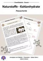 Vorschau - Stundenentwürfe - Polysaccharide - Deckblatt