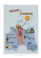 Vorschau - Arbeitsblätter - Hautpflege und Sonnenbrand - Textarbeit und Sketchnote - Seite 1