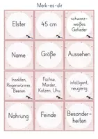 Vorschau - Spiele - Steckbriefe - Spiele Materialpaket Suchsel, Domino, Merk-es-dir, Klammerkarten - Seite 1